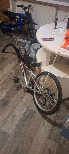 Trek tag along bike - bike, 20