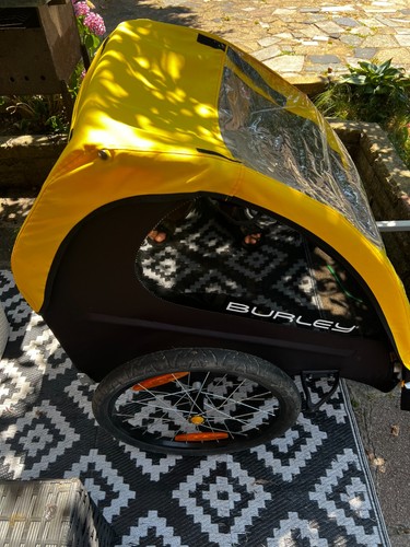 Burley bee double child bike - burley,
