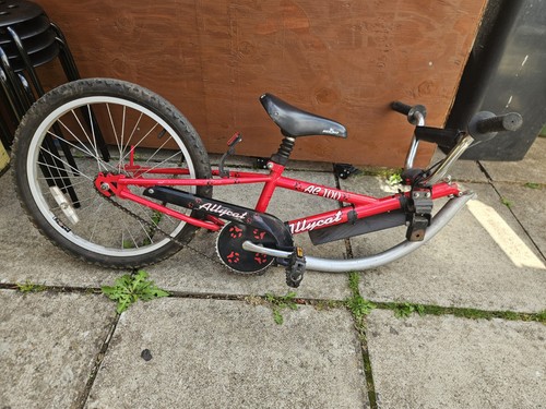 Kids trailer bike tagalong - kids, bike.