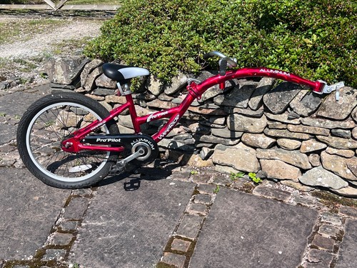 Weeride pro pilot tag - 20",